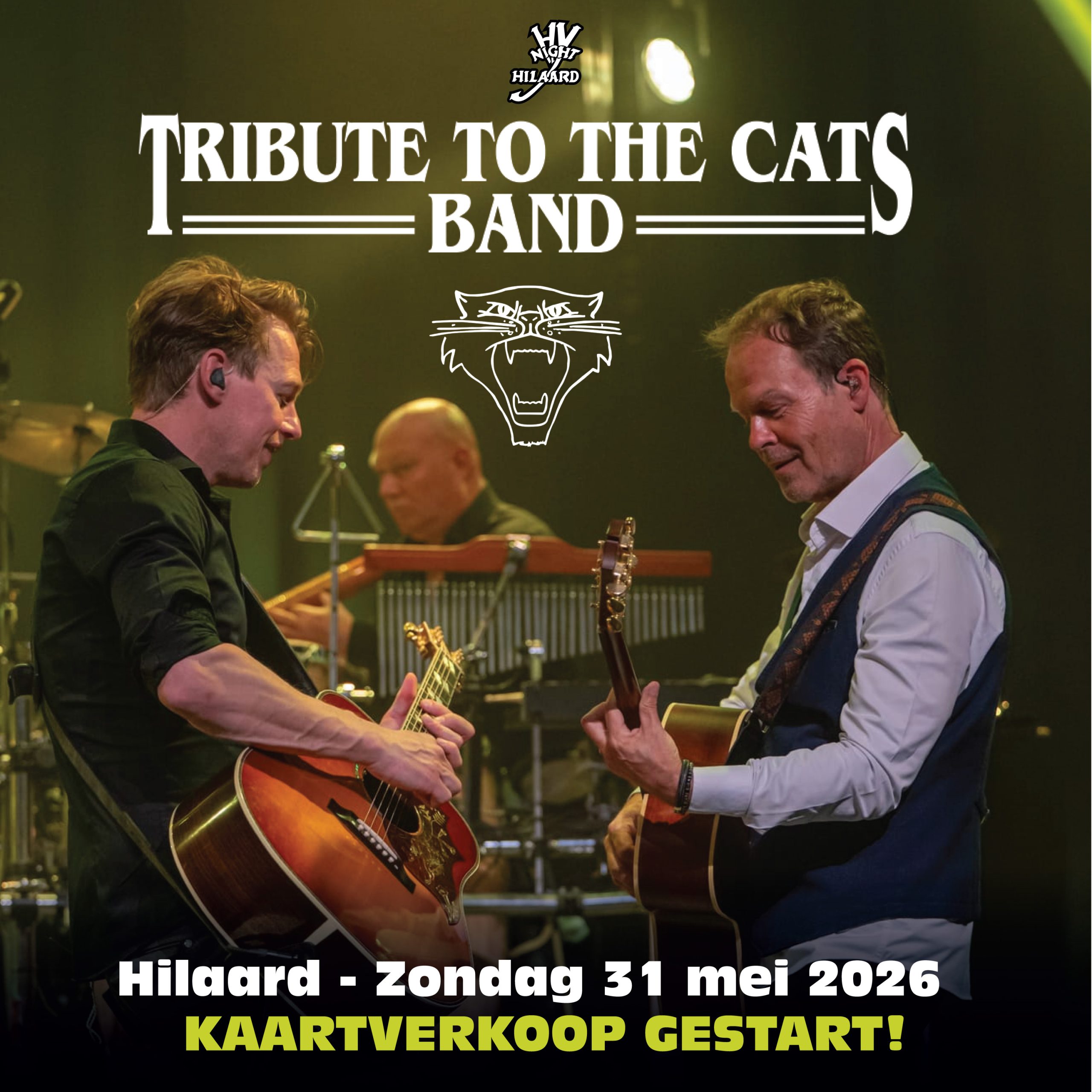 Hy-Night-Cats_Square_2